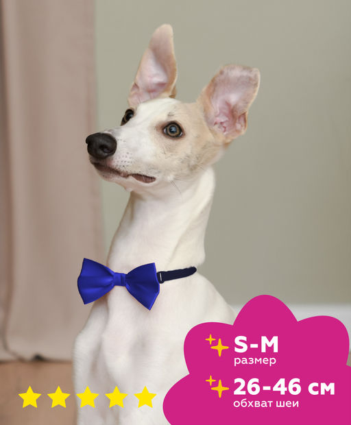 Бабочка "Бэта", синяя, размер S-M,ош 26см-46см бс10S-M 11сд22