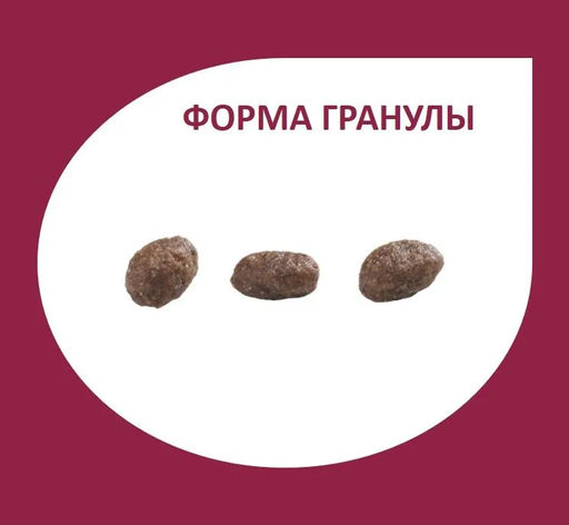 Скидка 50%!!! Гранплюс сухой корм для взрослых собак мелких пород лосось и цыпленок 10,1 кг - Granplus фото 5