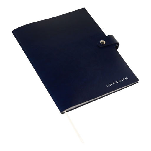 Дневник школьный для 1-11 классов Favorite, мягкая обложка, на кнопке, искусственная кожа, тиснение фольгой, хлястик, ляссе, 48 листов