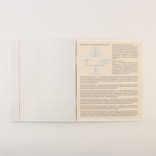 Тетради предметные, 48 л., А5, набор из 3 шт. КОТэ - Artfox study фото 5