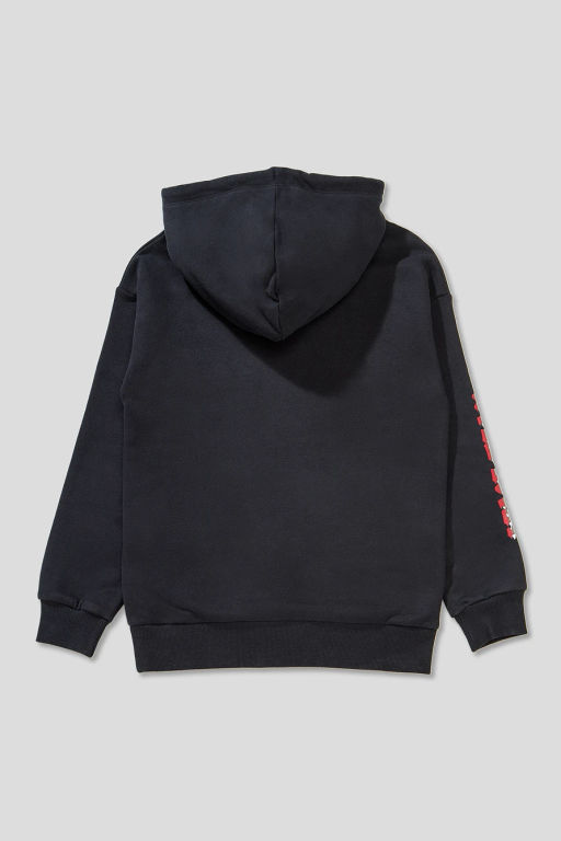 Motherbear / Толстовка-худи с принтом фото 2