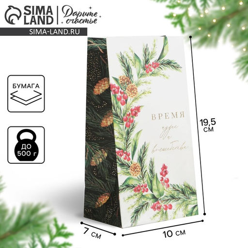 Цена за 10 шт. Пакет без ручек новогодний «Время волшебства», 10×19.5×7 см