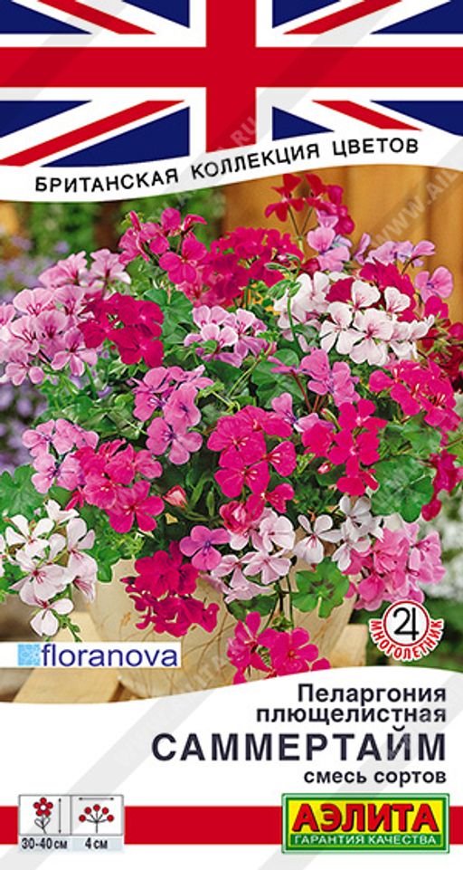 Пеларгония Саммертайм, смесь сортов --- Сел. Floranova Британская коллекция цветов