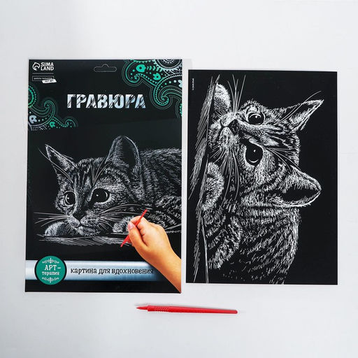 Гравюра «Котёнок» с металлическим эффектом, серебро, А4