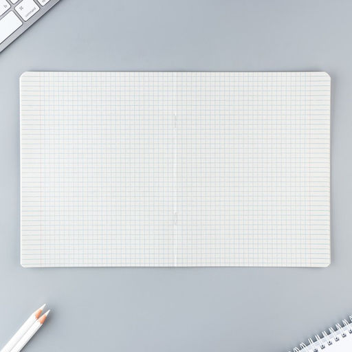 Цена за 20 шт. Тетрадь в клетку, 12 листов, А5, на скрепке, блок №2«Тока для тебя» МИКС