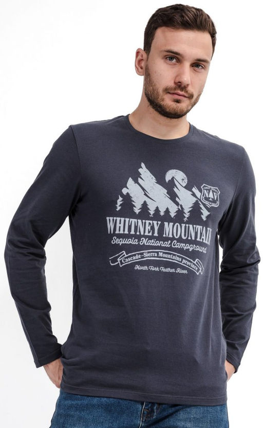 Лонгслив мужской с принтом F111-1001-332 темно-серый - Fine joyce фото 6