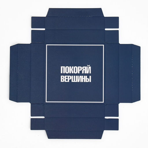 Цена за 2 шт. Коробка подарочная складная с 3D эффектом, упаковка, Покоряй вершины, 11?11?13 см