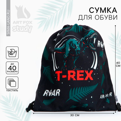 Мешок для обуви, T-REX, (текстиль) 41×34 см