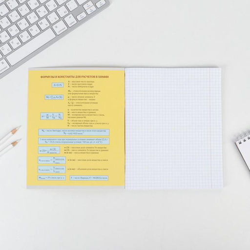 Предметная тетрадь, 48 листов, ПЕРСОНАЖИ, со справочными материалами Химия, обложка мелованный картон 230 гр., внутренний блок в клетку 60 гр., белизна 96% - Artfox study фото 3