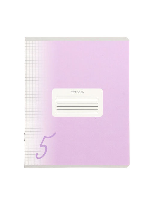 Комплект тетрадей из 10 штук, 24 листа в клетку Calligrata "Пятёрка", обложка мелованный картон, ВД-лак, блок офсет, 5 видов по 2 штуки