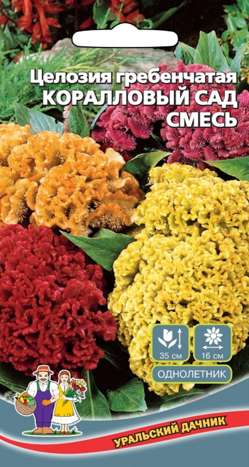 Целозия гребенчатая КОРАЛЛОВЫЙ САД МИКС Яркие эффектные гребешки!