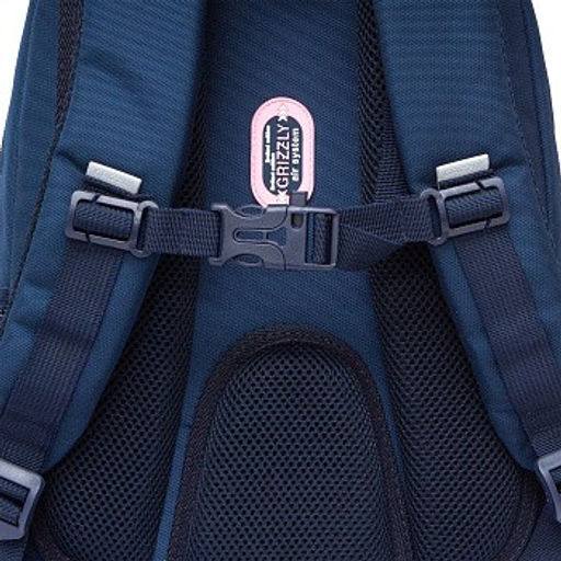 RG-561-2 Рюкзак школьный - Grizzly фото 35
