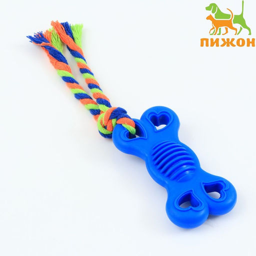 Игрушка жевательная с канатом Косточка на привязи, 9,5 см, синяя