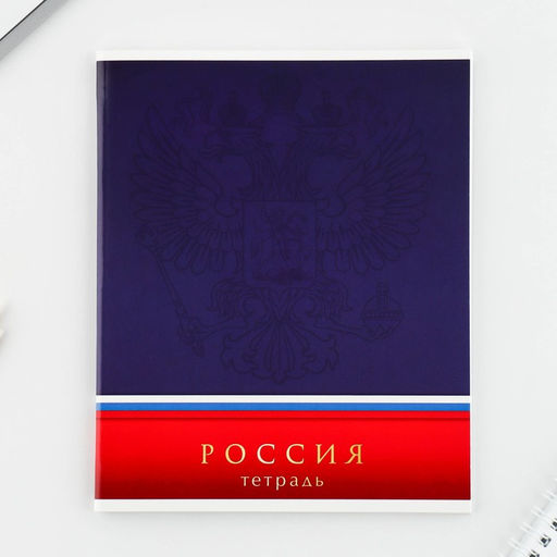 Тетрадь А5, 48 л на скрепке МИКС Шрифтовые яркие, обложка мелованный картон 230 гр., внутренний блок №1, в клетку 80 гр., белизна 96% - Artfox study фото 20