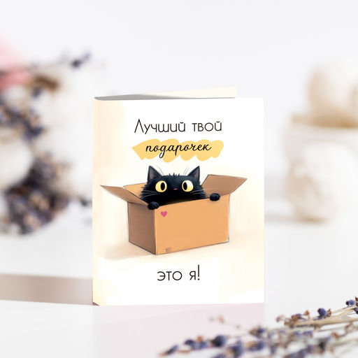 Цена за 2 шт Мини-открытка "Лучший твой подарочек это я" (кот в коробке)