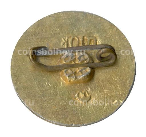 Значок Воин Киевской руси