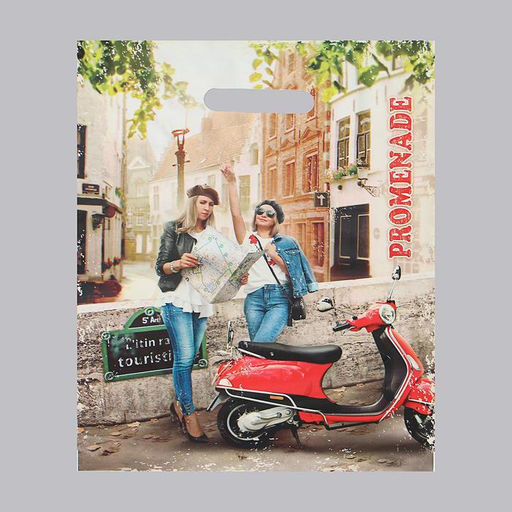 Цена за 50 шт. Пакет «Прогулка» полиэтиленовый с вырубной ручкой, 50 мкм, 30×40 см