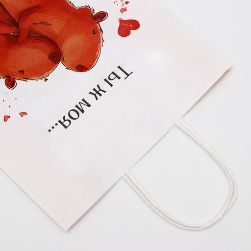 Цена за 2 шт. Пакет подарочный бумажный, «Моя Капибара», 32 × 26 × 11 см