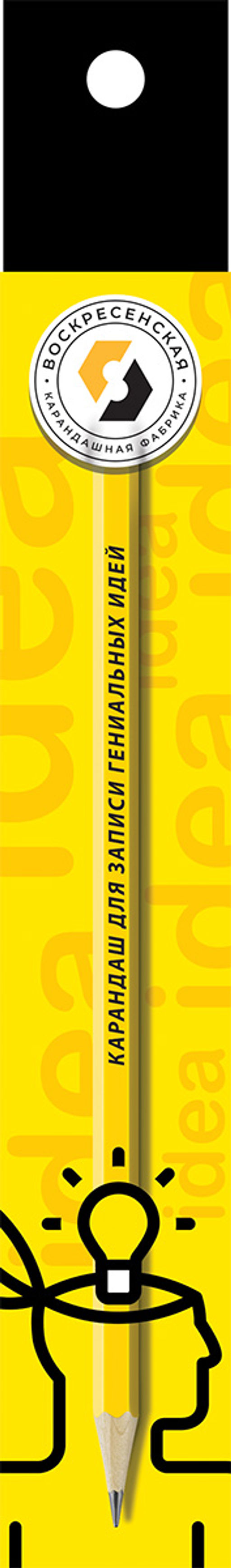 ВКФ Карандаш со смешными фразами SUV-011 Карандаш графитный заточенный ТМ (HB) 4 шт. карандаш для записи гениальных идей