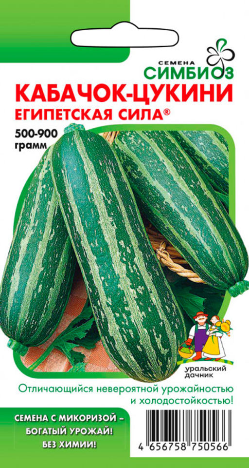 Кабачок ЕГИПЕТСКАЯ СИЛА  Цукини - Уральский дачник фото 4