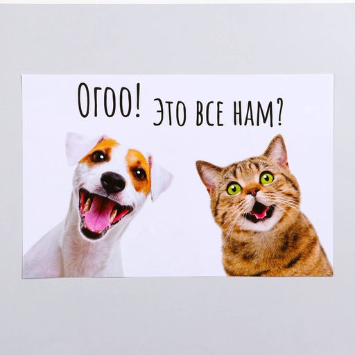 Коврик под миску «Пижон» 43×28 см «Ого! Это всё нам?»