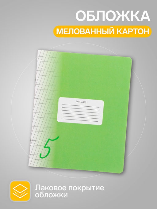 Цена за 2 шт. Комплект тетрадей из 10 штук, 12 листов в частую косую линию Calligrata «Пятёрка. Зелёная», обложка мелованный картон, блок офсет