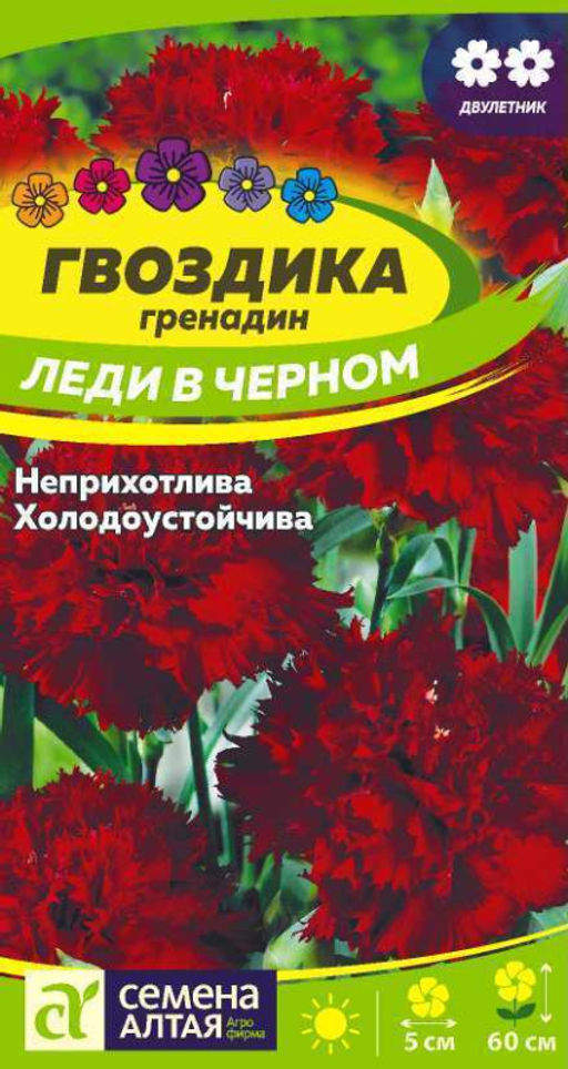 Цветы Гвоздика гренадин Леди в черном/Сем Алт/цп 0,05 гр. двулетник