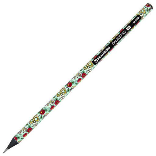 Цена за 4шт. Карандаш чернографитный BRAUBERG "CALAVERAS", 1 шт., HB, корпус ассорти