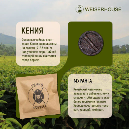 Чай Крафтовый чай Ассорти 10-12гр, 1 уп. Х 8 шт. Новогодний ассортимент - Weiserhouse фото 16
