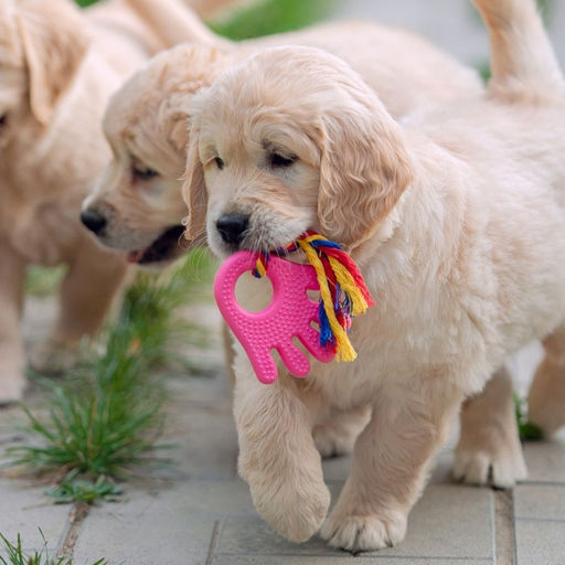 Игрушка жевательная с канатом для собак Ладошка, 10 см, розовая - Пижон фото 6