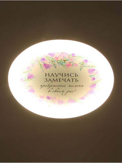 Потолочный светильник светодиодный BayerLux «Цветы», 120 Вт, LED, 49.5×49.5×6.5 см