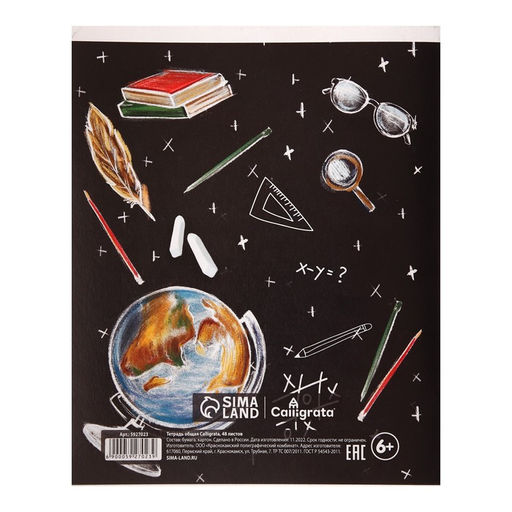 Тетрадь предметная Доска, 48 листов в клетку История, обложка мелованный картон, блок офсет - Calligrata фото 2