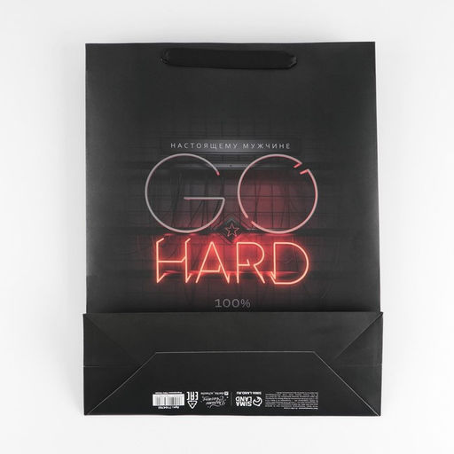 Цена за 2 шт. Пакет подарочный ламинированный, упаковка, «Go hard», L 31 х 40 х 11.5 см