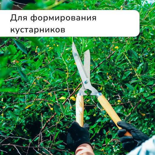 Кусторез, 19 (48 см), с деревянными ручками, Greengo  фото 5