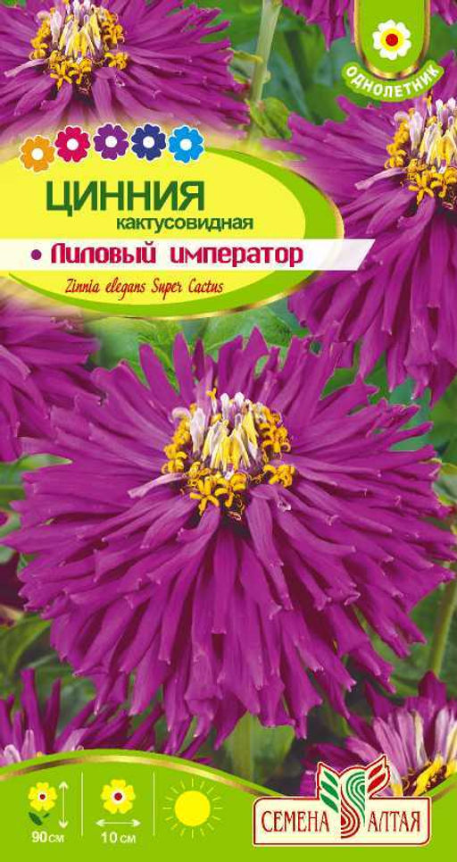 Цинния Кактусовидная Лиловый Император 0,2г (Семена Алтая)