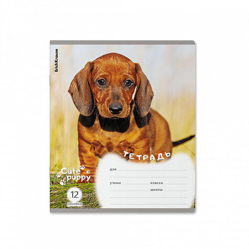 Цена за 10 шт. Тетрадь школьная ученическая ErichKrause Щенки, 12 листов, линейка (в плёнке по 10 шт.)_MIX-PACK  фото 3