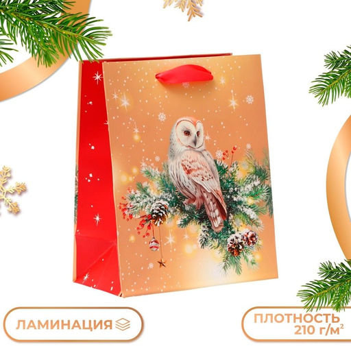 Пакет подарочный новогодний ламинированный «Совушка», 18×22.3×10 см