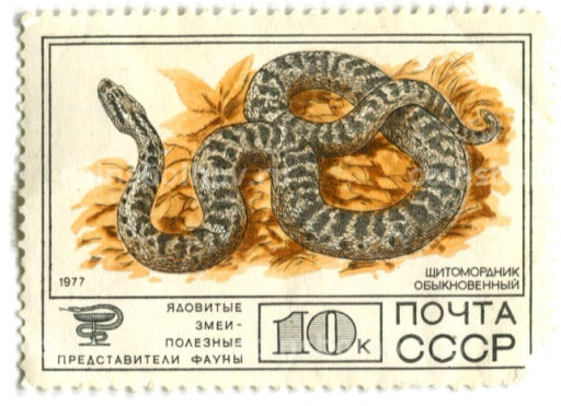 Марка Ядовитые змеи  Щитомордник обыкновенный 1977 год