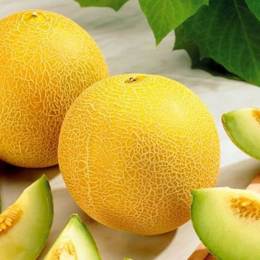 5014D Дыня Дина 5шт