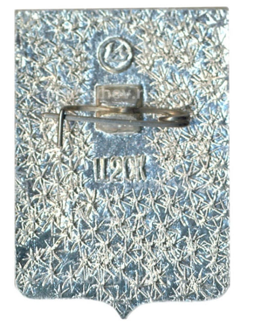 Значок Тулун