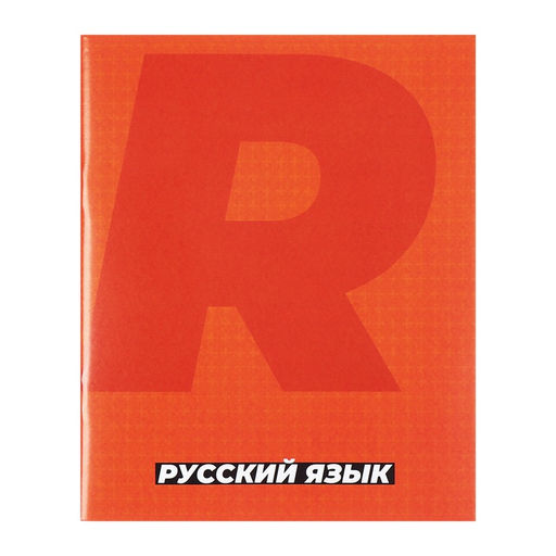 Набор предметных тетрадей Calligrata. MonoTone, 10 предметов, 36 листов, со справочным материалом, серые листы, обложка из мелованной бумаги