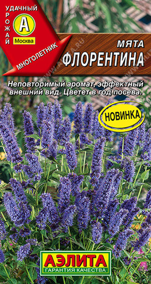 0644A Мята Флорентина 0,05гр