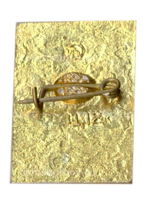 Значок София Киевская