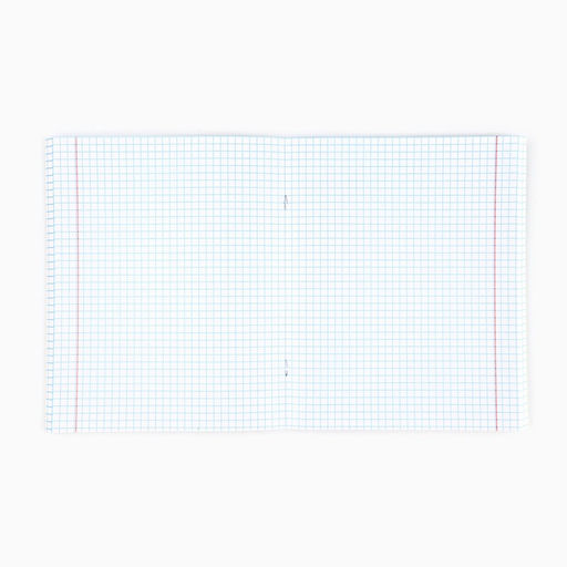 Цена за 2 шт. Тетрадь в клетку, 96 л., А5, на скрепке, блок №1 «Россия»