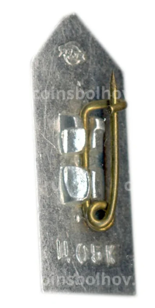 Значок Рига