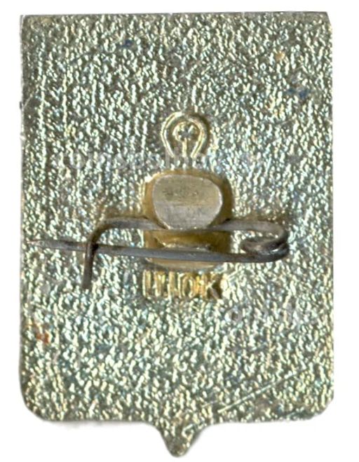 Значок Чебоксары