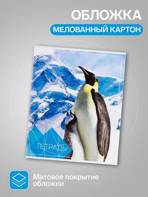Набор тетрадей, 96 листов в клетку, Calligrata Животные, серые листы, 4 штук  фото 2