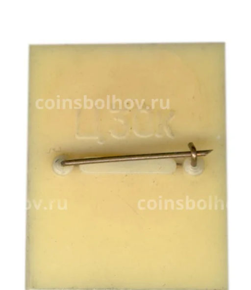 Значок Зарядье  Игуменские кельи