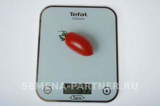 Томат Рыжий Котя F1 - Партнер фото 5