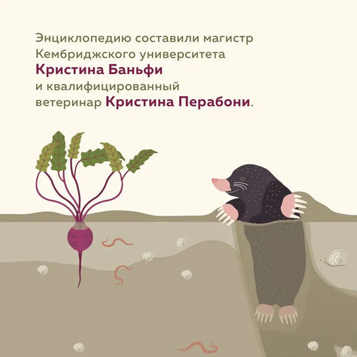 Что внутри? Как устроены дома животных. Банфи К., Перабони К. - Издательство махаон фото 4